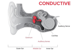 Untitled-design-43-1536×1024 Untitled-design-43-1536x1024