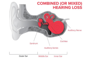 Untitled-design-45-1536×1024 Untitled-design-45-1536x1024